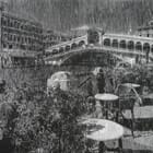 Almost Immortal Venice #4