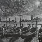 Almost Immortal Venice #3