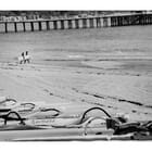 Malibu Beach in Black and White