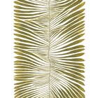 Title Angiopteris Magnum