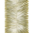 Title Angiopteris Magnum (A2)