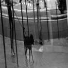 Instant 250426-14:49