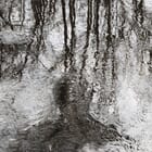 les ferments du printemps