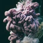 Liquid Soul n°350 Extinctions