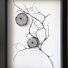 Ballade sur l'Estran 4