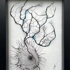 Ballade sur l'estran 5