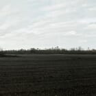 The Silence of Numbers