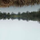 The Silence of Numbers