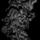 Liquid Soul n°652 Creature