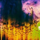 Liquid Soul n°885 Extinctions