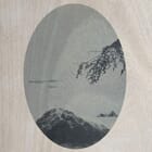 Under the shadow of the Moon