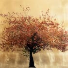 Prunus Serrulata VIII