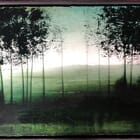 Promenade avec lise...hier N°28 (L'herbe verte)