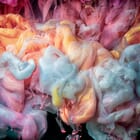 Celestial Bloom - Liquid Soul Extinctions