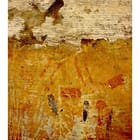 Mysore 2 - 3 of 20 Limited Edition Photograph