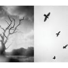 Experimental Farm 02