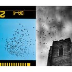 Experimental Farm 01