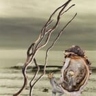 Je me laisse défaire de tous mes oripeaux