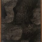 Gleaming Dark Leaves