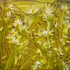 High Summer in the long grass