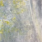 Whatever path one might