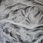 The Gypsy Moth is Loose