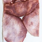 Embodied (Tenderbeing Series)