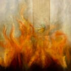 Papillon (Playing with Fire)