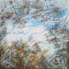 Miroir d'eau et reflets