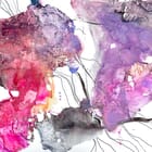 Celestia (Gemini) 2x