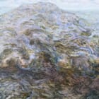 Only Sink Beneath and You Are Free