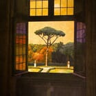 Le pin parasol d'Ingres - Rome 