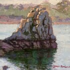 La roche aux oiseaux 