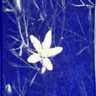 True Blue, presented by Public Notice