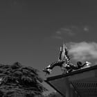 Two Dragons (Kew Gardens, London)