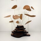 Topographie d'une canopée