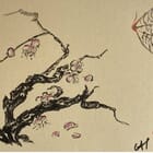 prunus et araignée, le réveil du Printemps