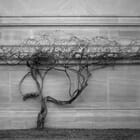 Insurrection II (Washington, DC)