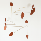 Anatomie d'une coquille