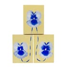 Butter Pansy (Triptych)
