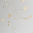 Tordu en forme de rêve