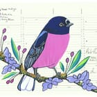 Pink Robin