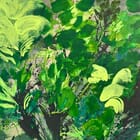 Green is the colour 1