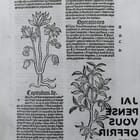 J'ai pensé vous envoyer des fleurs et l'encyclopédie qui va avec