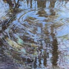 Vibrations aquatiques 