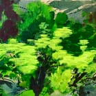 Green is the colour 3