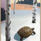 Can't See the Wood for the Trees