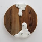 Universal source | CIRCLE 4