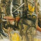 Searching the Native River II