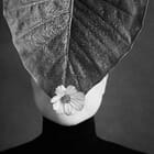 Ephemeral Mask​ - I